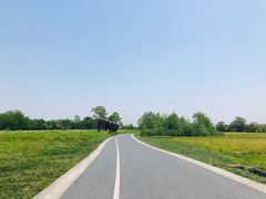 -良渚古城遗址公园