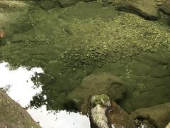 -将军关探险漂流