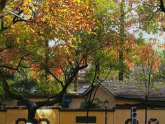 -颐和路民国时期公馆风貌区