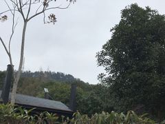 -三江森林温泉度假区