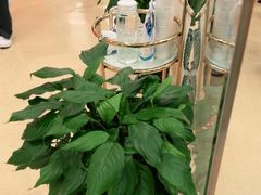 -爱康国宾体检中心(总部基地分院)