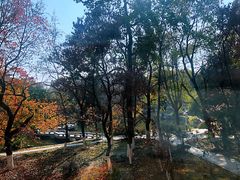 窗外的风景-中国科技大学-专家楼食堂