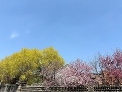 -三里河公园