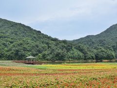 -广州市石门国家森林公园