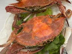 -郭姐·威海渔村(黄兴路店)