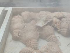 -福禧荟·海鲜自助