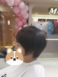 -木北造型