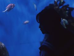 -多彩贵州城极地海洋世界