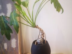 -石家庄万象城
