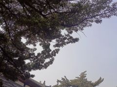 -成都市文殊院