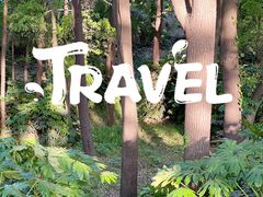 -上海共青森林公园