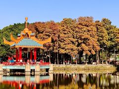 -金砂公园