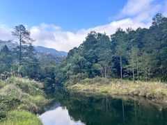 -海南热带雨林国家公园吊罗山景区
