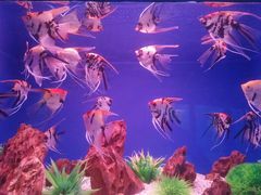 景点-水上乐园·欢乐世界