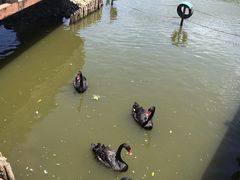 -无锡动物园·太湖欢乐园