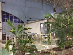 -龙脉温泉室内游泳馆