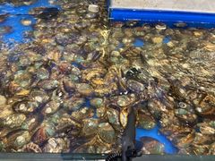 -川骄海鲜自助(河东店)