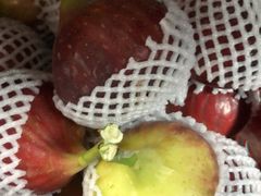 -武汉世外桃源农庄