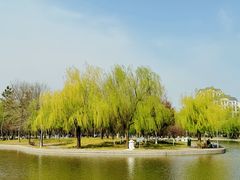 -泰丰公园