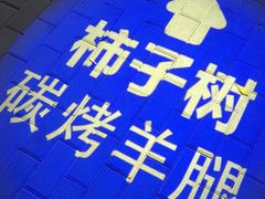 -柿子树炭烤羊腿(金台路店)