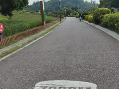 -立新湖公园