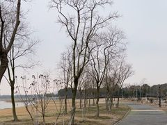 -春花秋色城市公园