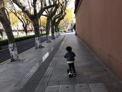 -苏州文庙(姑苏区)