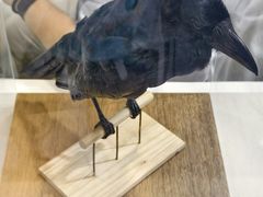 -重庆国际会议展览中心