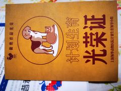 -爱侣宠医·鹦鹉专科·小型哺乳类·异宠专科(灵石路店)