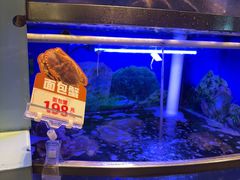 -七欣天香辣蟹火锅(南京建宁路大观天地店)