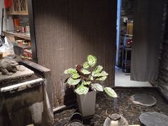 -羲和雅苑•北京烤鸭(国贸商城店)