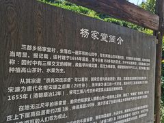 -杨家堂村