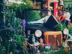 -深圳市中科院仙湖植物园