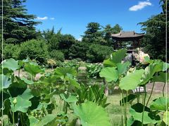 -国家植物园南园