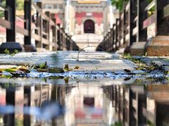 -北陵公园