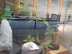 -上海衡山路十二号华邑酒店
