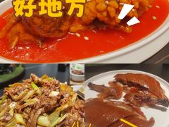 -大鸭梨烤鸭店(花园村店)