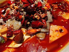 招牌毛血旺-映水芙蓉(上海万象城店)