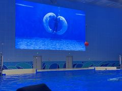 -石家庄极地海洋世界