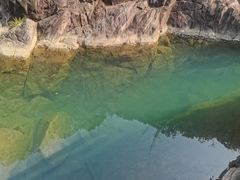 -广州白江湖森林公园