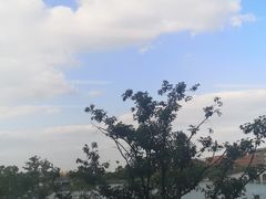 -浙江大学(海宁国际校区)