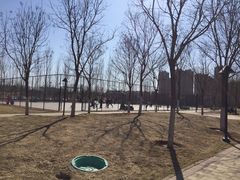 -五环公园