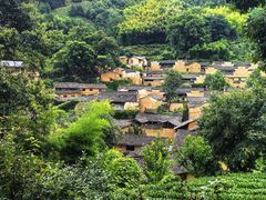 -杨家堂村
