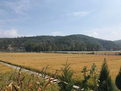 -南泥湾风景区