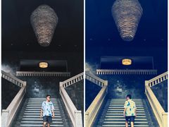 -海南清水湾莱佛士酒店