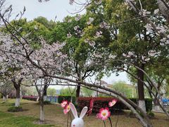 -高东镇樱花园