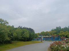 -上海滨江森林公园