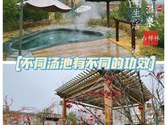 -白桦林温泉谷