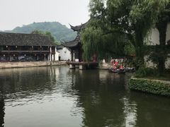 -鲁镇