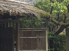 -水前寺成趣园
